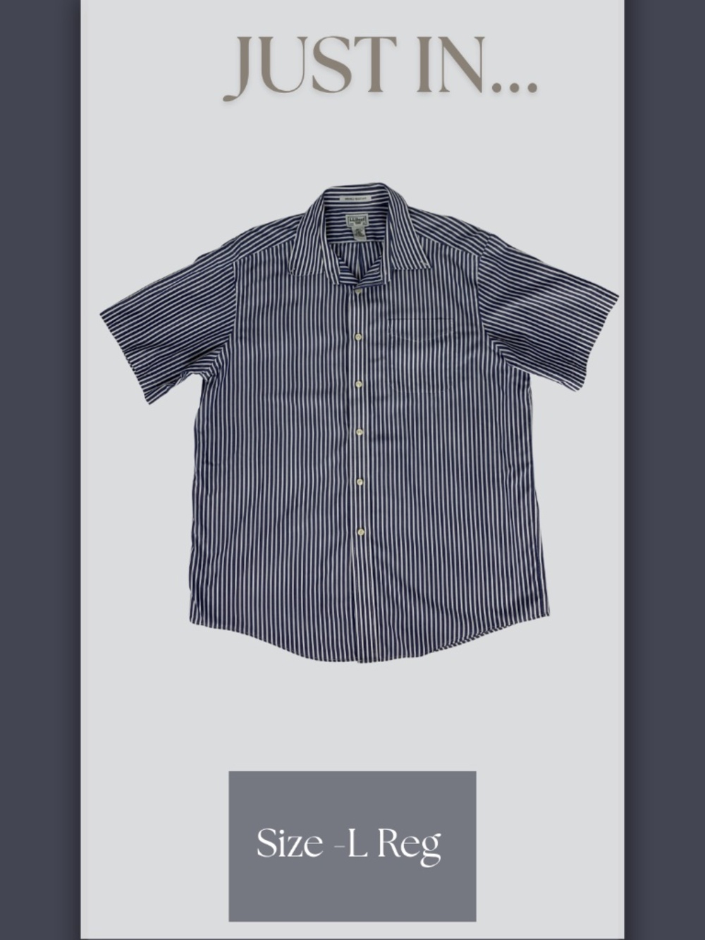 LL Bean Wrinkle-Resistant Short Sleeve Striped Shirt L Preppy Business Casual